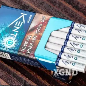 Vietnamese Kent Switch 10Pack - 图片 4